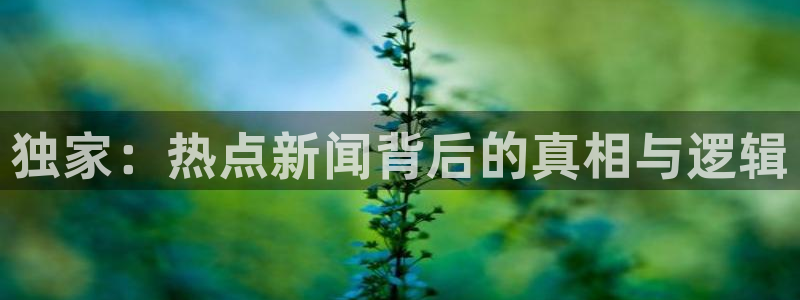 “黑料吃瓜不打烊入口：独家：热点新闻背后的