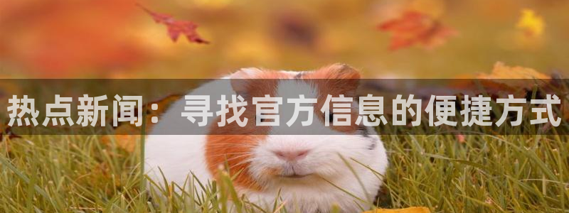 166.黑料不打烊：热点新闻：寻找官方信